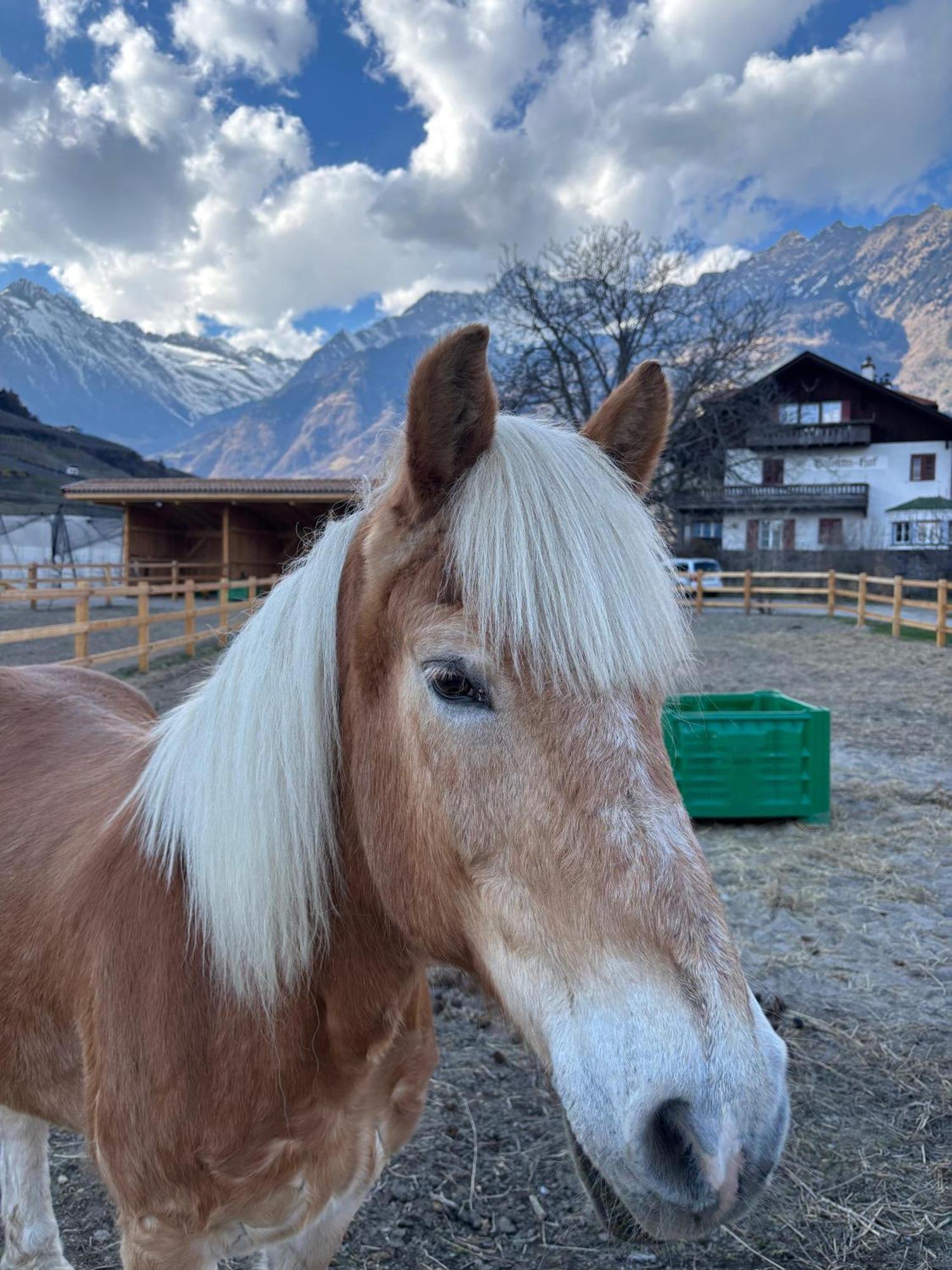 Schoene Wohnung Am Stadtrand Von Meran Valentinhof المظهر الخارجي الصورة